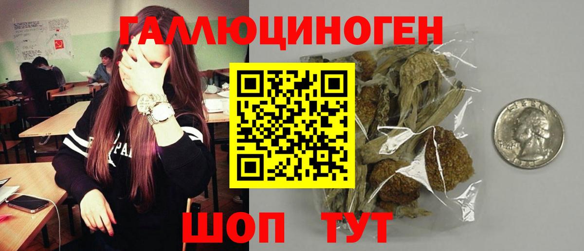 Галлюциногенные грибы MAGIC MUSHROOMS Кропоткин